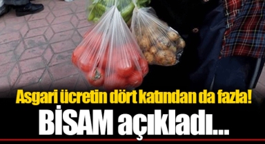 Asgari ücretin dört katından da fazla! BİSAM açıkladı...