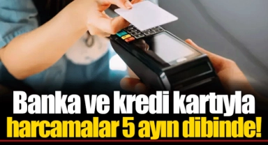 Banka ve kredi kartıyla harcamalar 5 ayın dibinde!