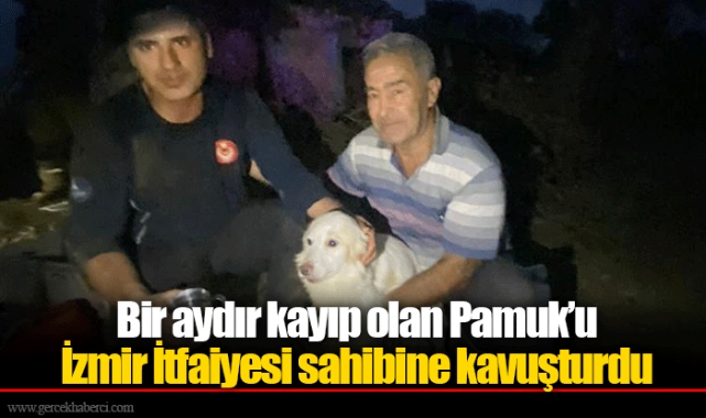 Bir aydır kayıp olan Pamuk’u İzmir İtfaiyesi sahibine kavuşturdu