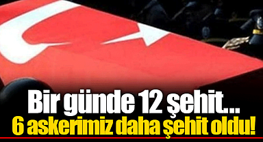 Bir günde 12 şehit... 6 askerimiz daha şehit oldu!