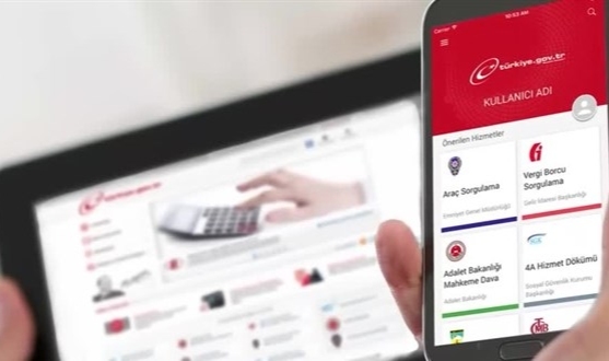 e-Devlet 15 yaşında: En çok hangi hizmet kullanıldı?