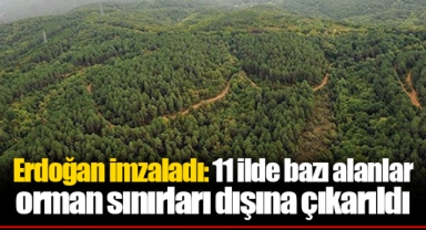 Erdoğan imzaladı: 11 ilde bazı alanlar orman sınırları dışına çıkarıldı