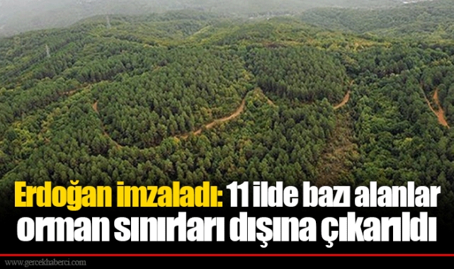 Erdoğan imzaladı: 11 ilde bazı alanlar orman sınırları dışına çıkarıldı
