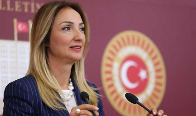 Eski Bakan Derya Yanık'tan CHP'li Aylin Nazlıaka hakkında suç duyurusu
