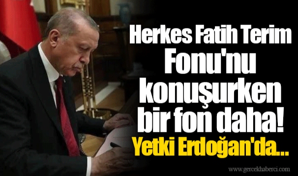 Herkes Fatih Terim Fonu'nu konuşurken bir fon daha! Yetki Erdoğan'da...