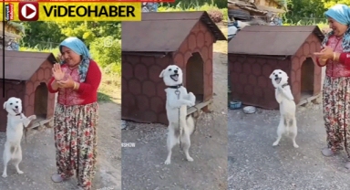 Kadın şarkı söyledi, köpeği sevinçle dans etti... O görüntüler gülümsetti