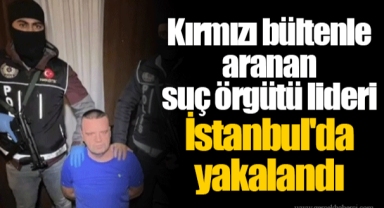 Kırmızı bültenle aranan suç örgütü lideri İstanbul'da yakalandı