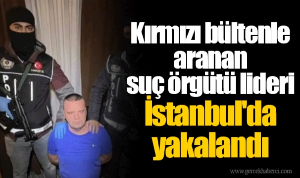 Kırmızı bültenle aranan suç örgütü lideri İstanbul'da yakalandı