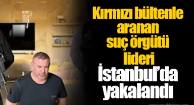 Kırmızı bültenle aranan suç örgütü lideri İstanbul’da yakalandı