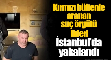 Kırmızı bültenle aranan suç örgütü lideri İstanbul’da yakalandı