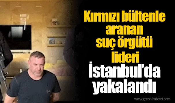 Kırmızı bültenle aranan suç örgütü lideri İstanbul’da yakalandı