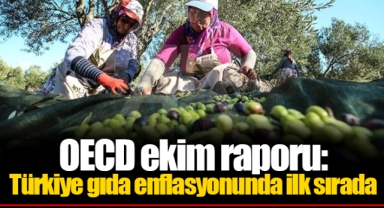 OECD ekim raporu: Türkiye gıda enflasyonunda ilk sırada