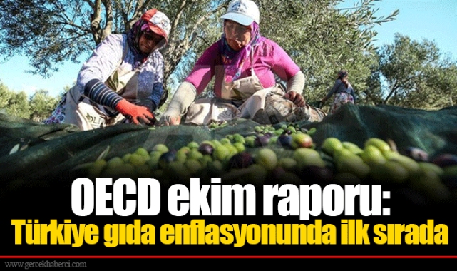 OECD ekim raporu: Türkiye gıda enflasyonunda ilk sırada