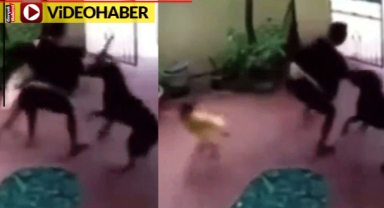 Ölü taklidi yaptı... Kahraman köpek kaçırılmaya çalışılan küçük kızı kurtardı
