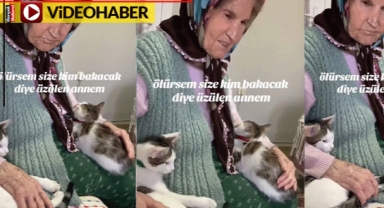 Ölürse kedilerine kimin bakacağına üzülen yaşlı kadın izleyenleri hüzünlendirdi