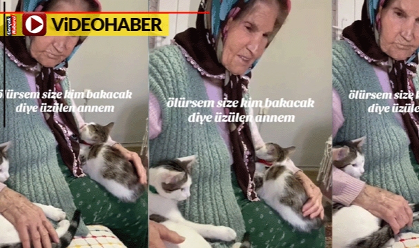 Ölürse kedilerine kimin bakacağına üzülen yaşlı kadın izleyenleri hüzünlendirdi