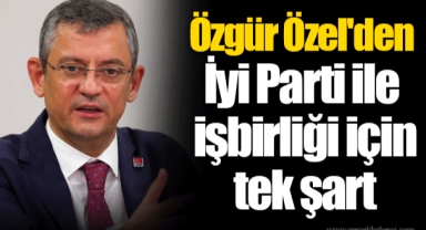 Özgür Özel'den İyi Parti ile işbirliği için tek şart