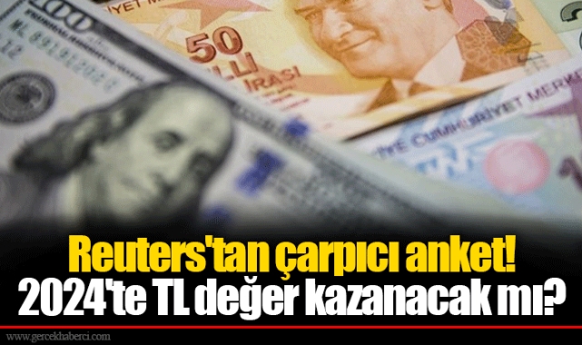 Reuters'tan çarpıcı anket! 2024'te TL değer kazanacak mı?