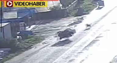 Sokak köpekleri önünü kesti: ATV takla attı