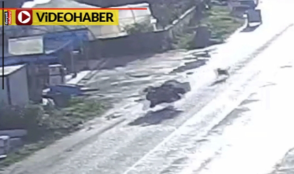 Sokak köpekleri önünü kesti: ATV takla attı