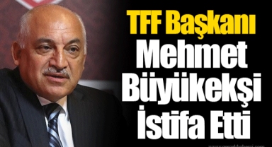 TFF Başkanı Mehmet Büyükekşi İstifa Etti