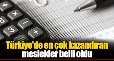 Türkiye'de en çok kazandıran meslekler belli oldu