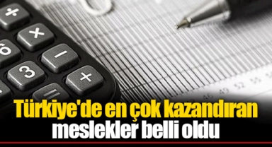 Türkiye'de en çok kazandıran meslekler belli oldu