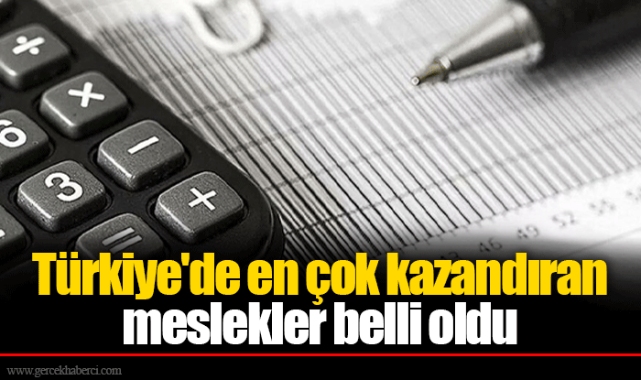 Türkiye'de en çok kazandıran meslekler belli oldu