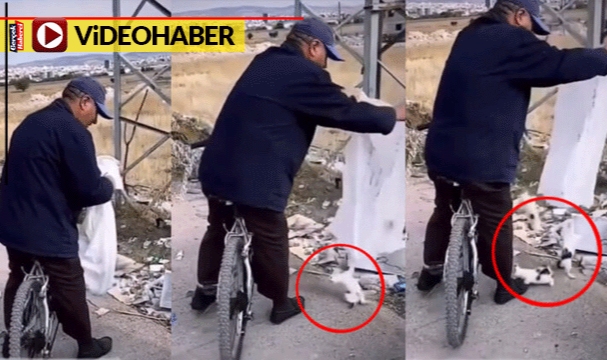 Yavru kedileri çuvala doldurdu, yakalanınca çöp gibi silkeledi: &quot;Sanki öldürecek miyim&quot;