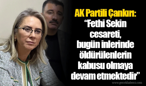 AK Partili Çankırı: "Fethi Sekin cesareti, bugün inlerinde öldürülenlerin kabusu olmaya devam etmektedir"