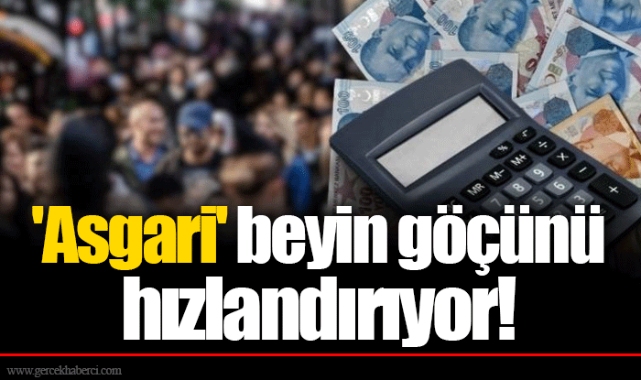 'Asgari' beyin göçünü hızlandırıyor!