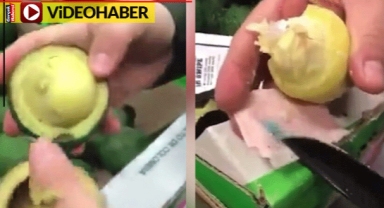 Avokado çekirdeğinden çıkan uyuşturucu görenleri şoke etti