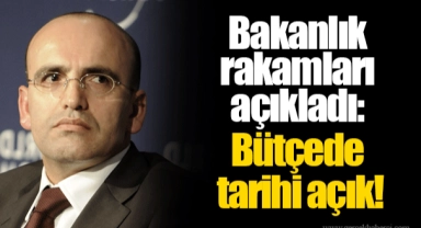 Bakanlık rakamları açıkladı: Bütçede tarihi açık!