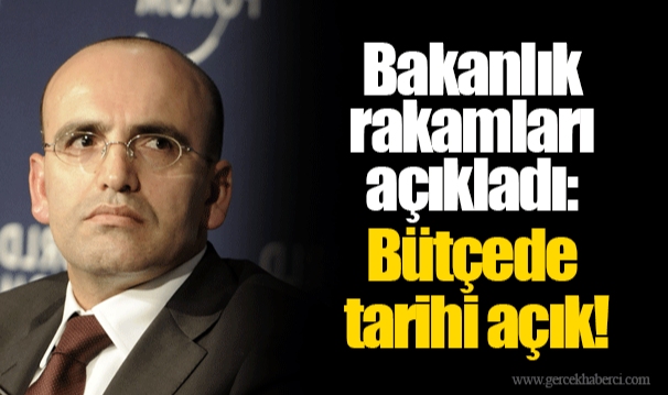 Bakanlık rakamları açıkladı: Bütçede tarihi açık!