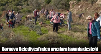 Bornova Belediyesi’nden arıcılara lavanta desteği