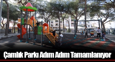 Çamlık Parkı Adım Adım Tamamlanıyor