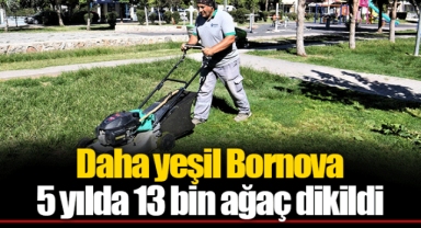 Daha yeşil Bornova... 5 yılda 13 bin ağaç dikildi