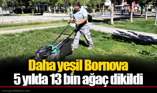 Daha yeşil Bornova...  5 yılda 13 bin ağaç dikildi