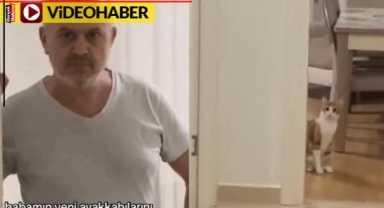 Evin çılgın kedisi yaramazlığı ile gündem oldu