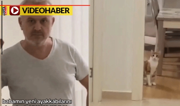 Evin çılgın kedisi yaramazlığı ile gündem oldu
