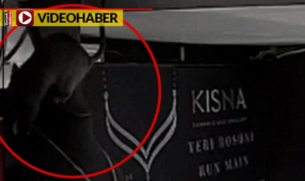 Fare elmas kolye çaldı: Gel de sigorta şirketine izah et