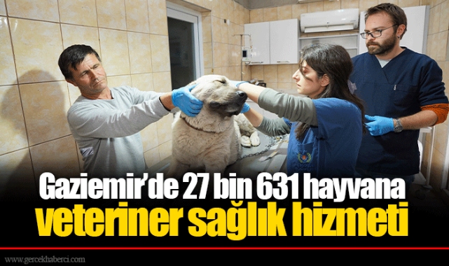 Gaziemir’de 27 bin 631 hayvana veteriner sağlık hizmeti