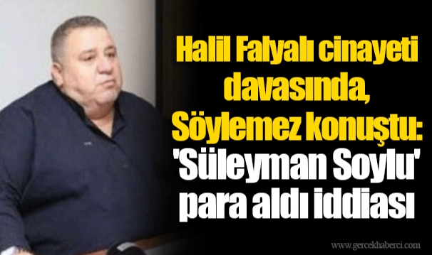 Halil Falyalı cinayeti davasında, Faysal Söylemez konuştu: 'Süleyman Soylu' para aldı iddiası