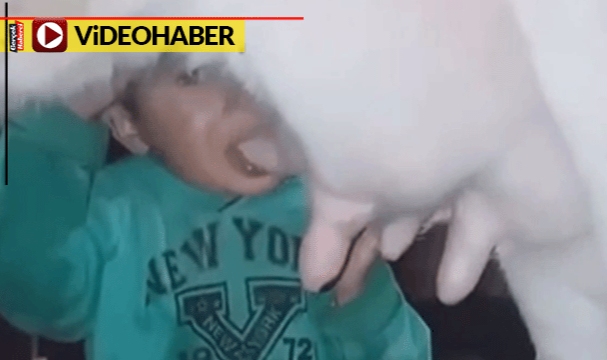 İzleyenler gülümsedi... Küçük çocuk süt içmek için ineğin memesini emdi