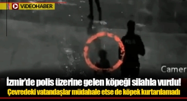 İzmir’de polis üzerine gelen köpeği silahla vurdu!