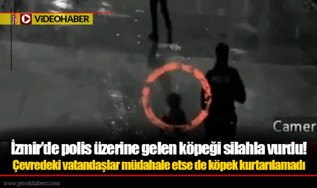 İzmir’de polis üzerine gelen köpeği silahla vurdu!