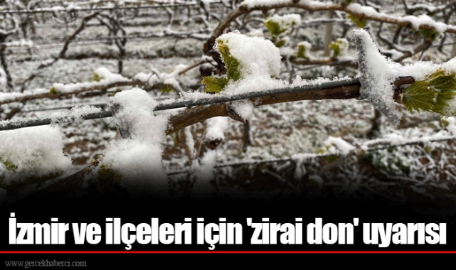 İzmir ve ilçeleri için 'zirai don' uyarısı