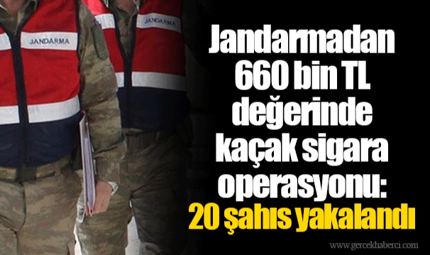 Jandarmadan 660 bin TL değerinde kaçak sigara operasyonu: 20 şahıs yakalandı