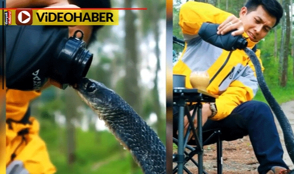 Kampçı ölmek üzere olan yılana kendi matarasından böyle su içirdi