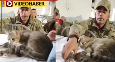 Koğuşa doğum yapan anne kedi ve yavrularına Mehmetçik sahip çıktı